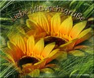 Mittwochsgruss