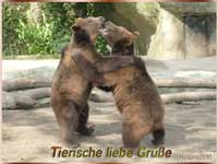 Tierische liebe Grüße