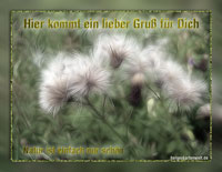 Naturbild mit Text