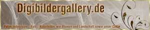 digibildergallery.de